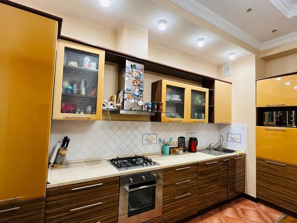 Уютные Апартаменты В Центре Алматы По Ул. Кожамкулова Д.229 Alma-Ata